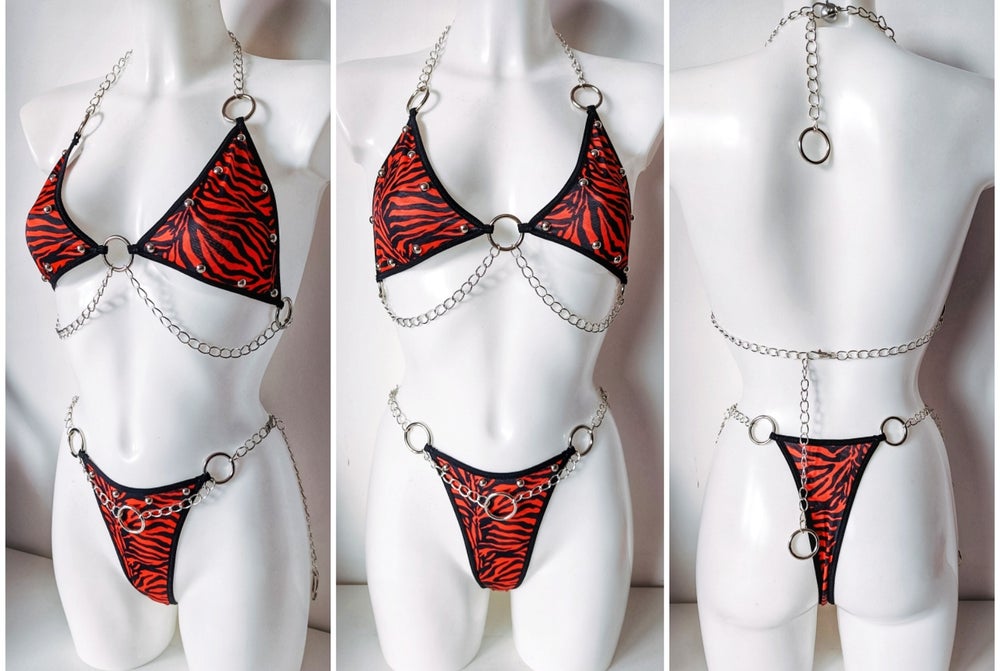 Welcome to the Jungle